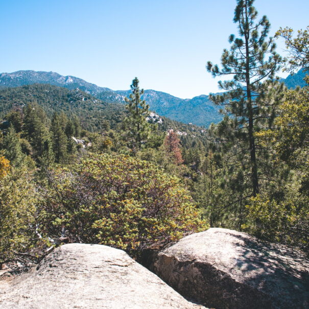 Idyllwild